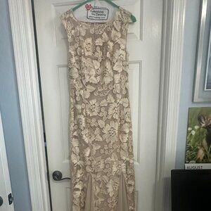 Evening Gown by Alex Evenings size 6